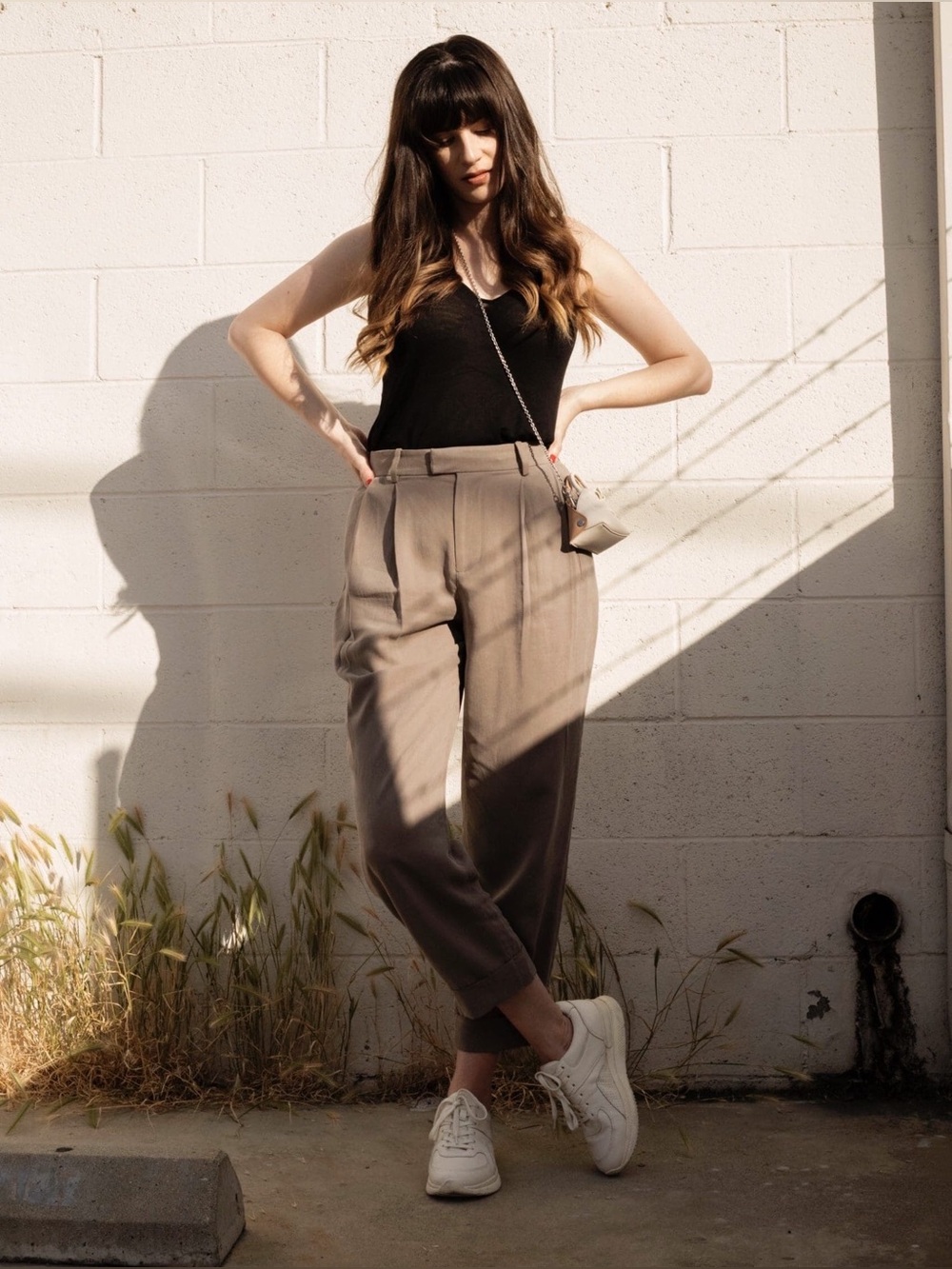 Everlane Put Together Pleat Pant Trousers Tan Size 2